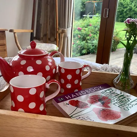 Clotted Cream Cottage: Countryside Calm: Close To Beach: Dartmouth: Devon Buitenkant foto