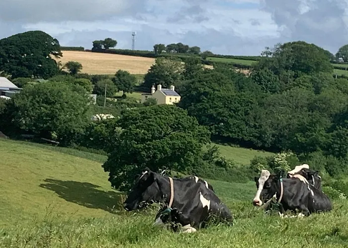 Clotted Cream Cottage: Countryside Calm: Close To Beach: Dartmouth: Devon