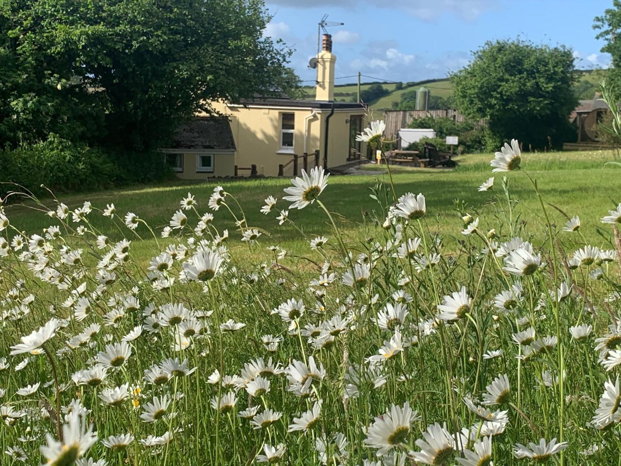 Clotted Cream Cottage: Countryside Calm: Close To Beach: Dartmouth: Devon * Dartmouth