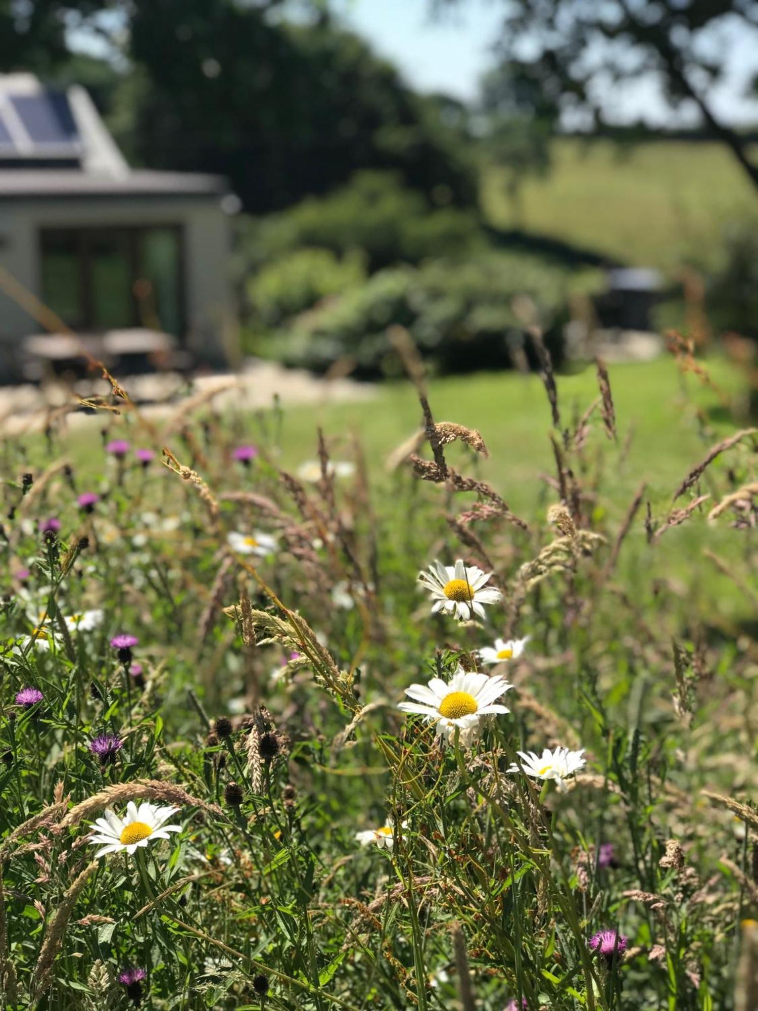 Clotted Cream Cottage: Countryside Calm: Close To Beach: Dartmouth: Devon Holiday home *